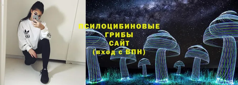 MEGA вход  Байкальск  мориарти какой сайт  Галлюциногенные грибы Psilocybe 